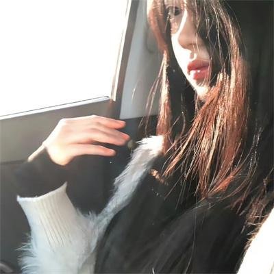 泰迪熊